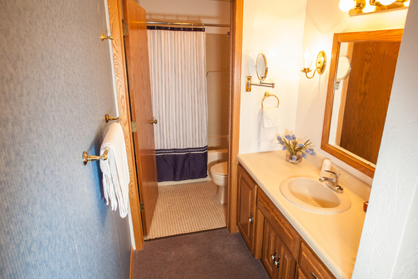 Nordic Lodge Suite - Bathroom
